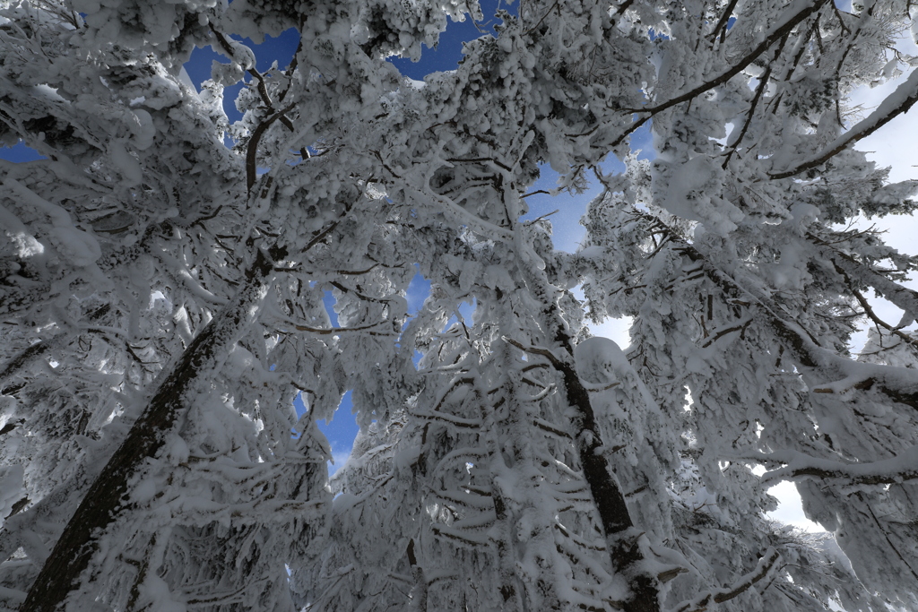 雪と風の芸術・Ⅳ