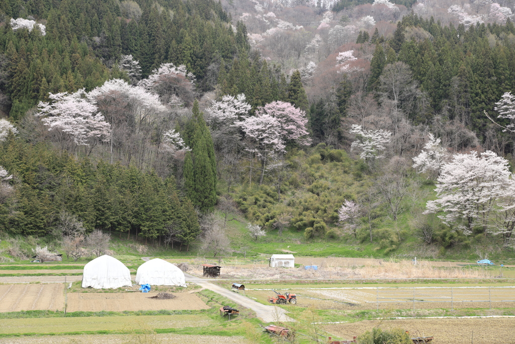 美しい村・３