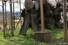 山高神代桜　「支」