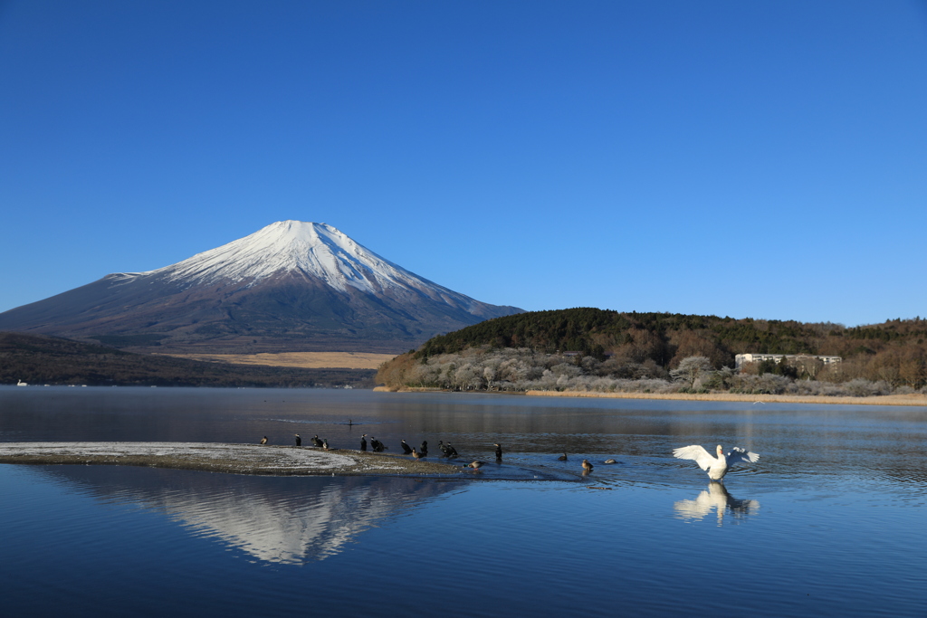 極寒の湖