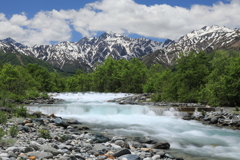 白馬山雪解けの渓流