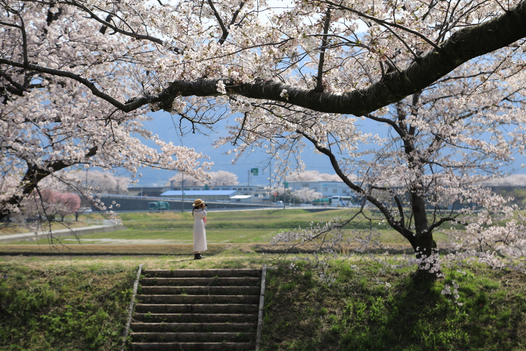 いいの撮れますかⅡ