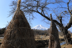 忍野富士