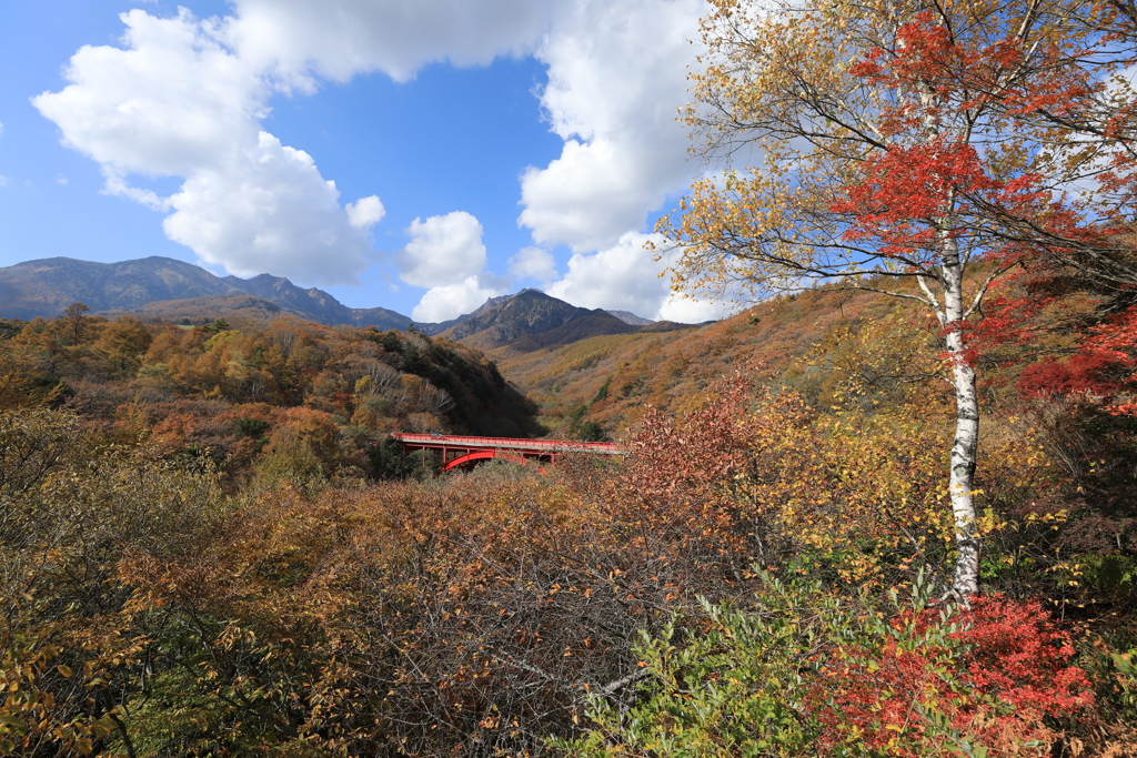 山間の赤い橋