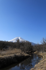 [春へのせせらぎ」忍野：新名庄川