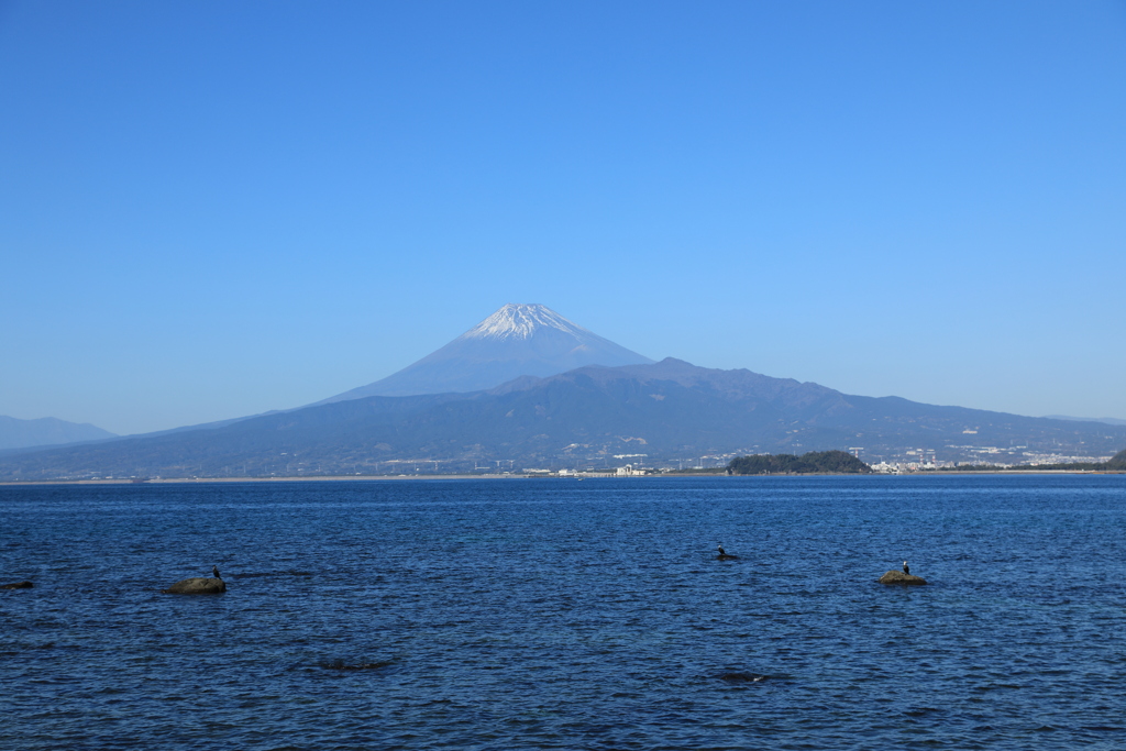 伊豆半島富士景色（海鵜）