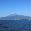 伊豆半島富士景色（海鵜）