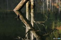 御嶽自然湖　パート2-1