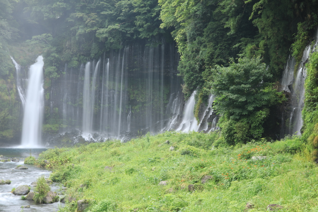 白糸の滝（全景）