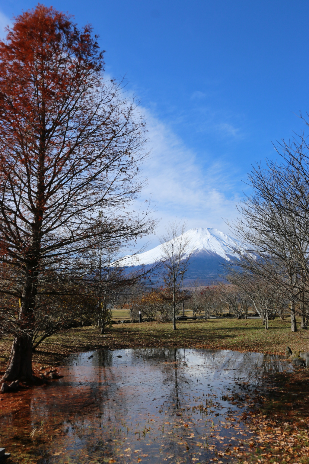 晩秋の富士