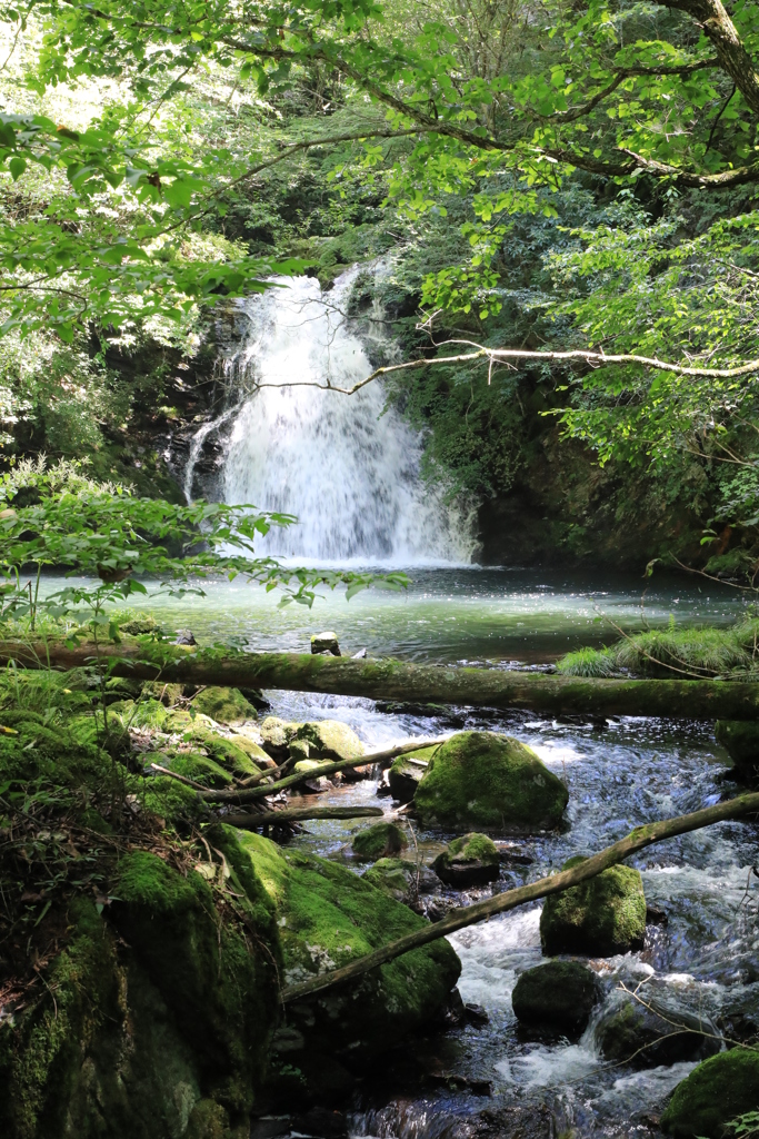 相木川・2