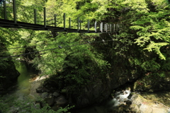 渓谷の吊り橋