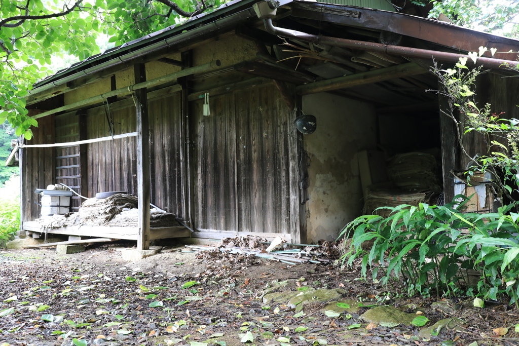 廃屋