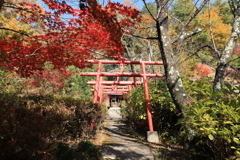 大善寺・別院