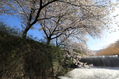 黒沢川