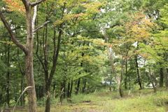 見っけ〃「秋への入口」