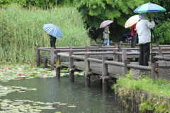 雨の室山池