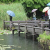 雨の室山池