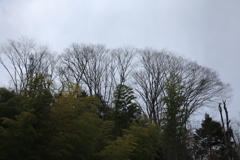 そうだ!!床屋に行こう!