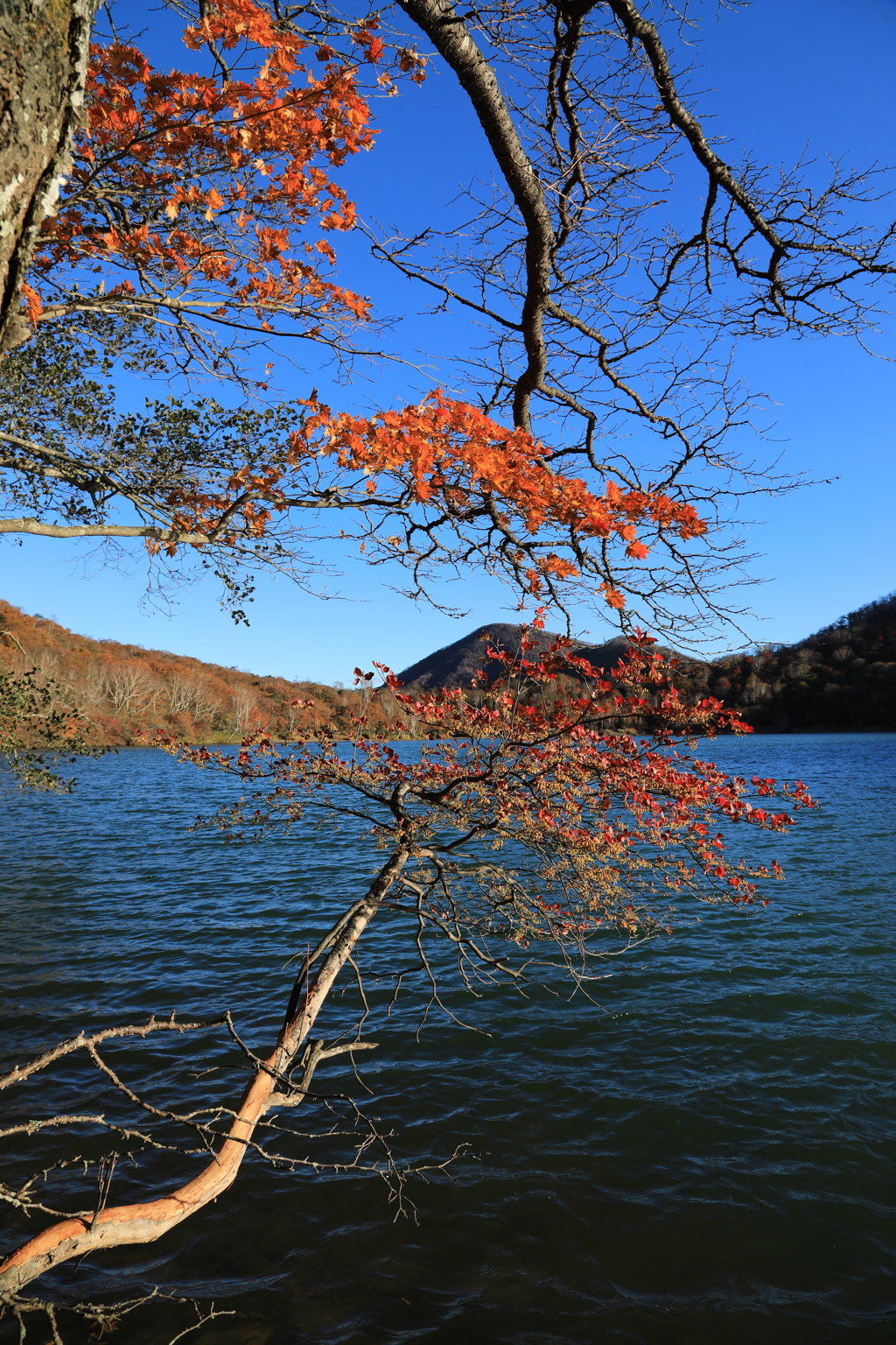 赤城山ウオーキングⅠ