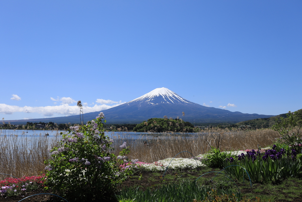 山麓は春真っ盛り
