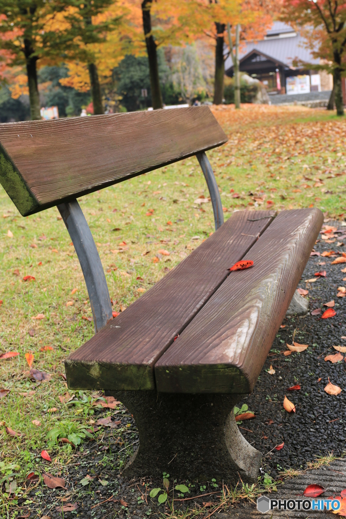 お一人ですか？