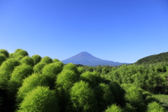 大石公園・Ⅰ