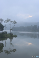 霧の白樺湖