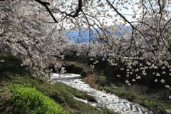 安曇野の春