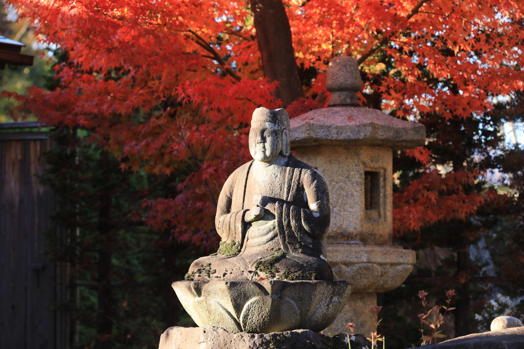 紅葉の寺