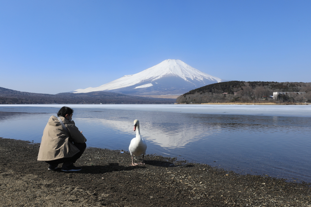 世間話(春ですね・・・）