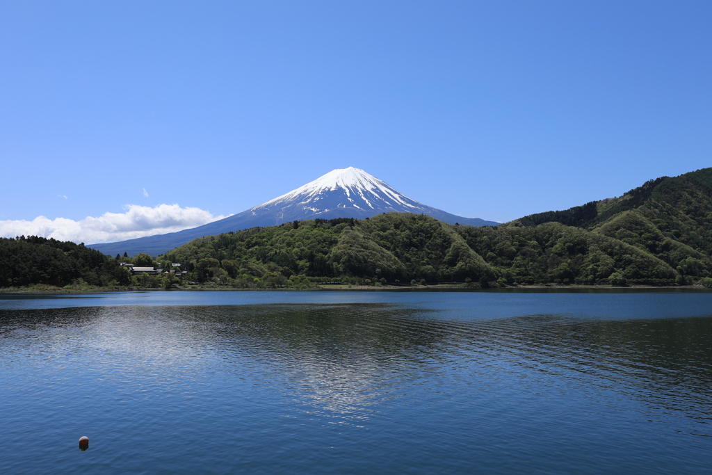 富士やま!