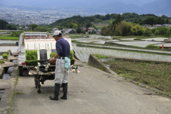 棚田の田植え