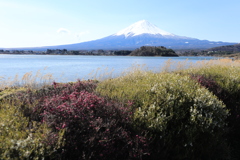 大石公園