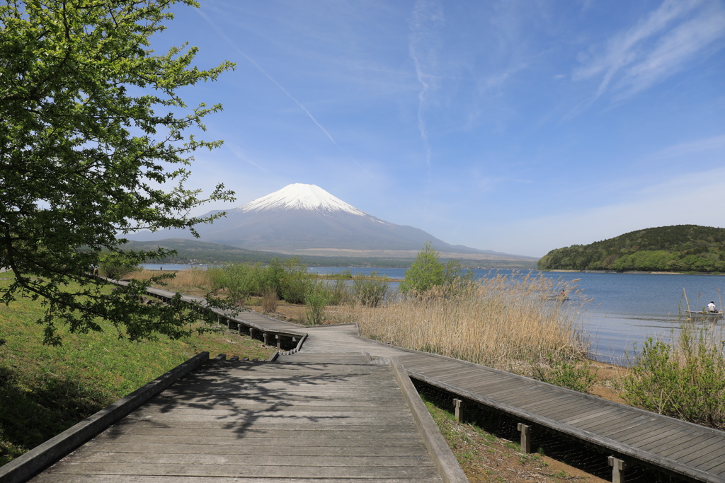 山中湖交流プラザ・Ⅱ