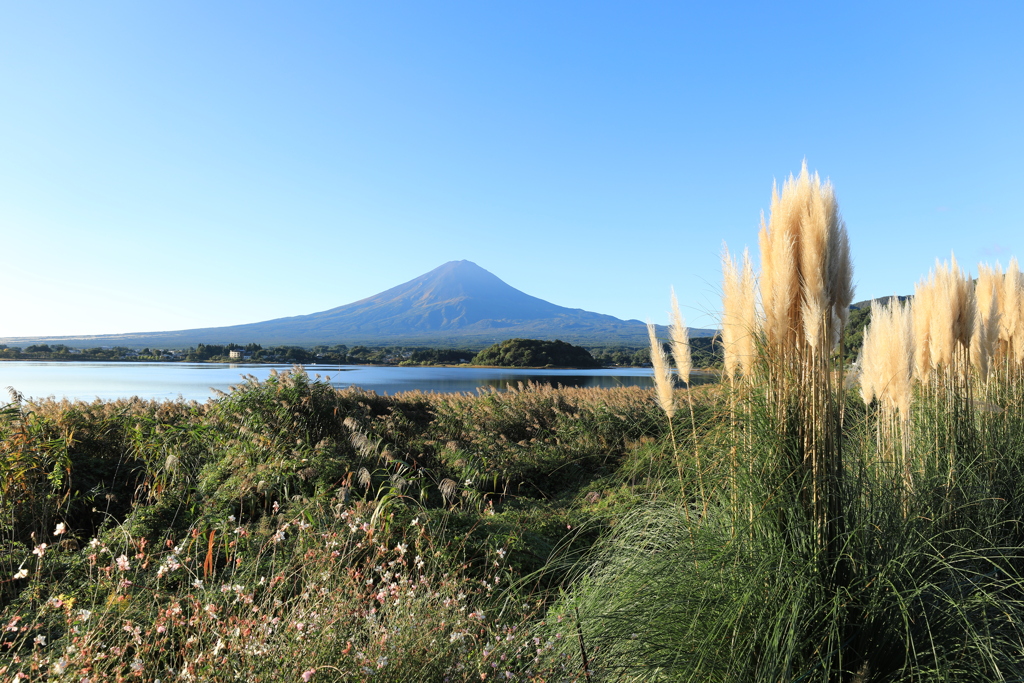 湖畔の秋