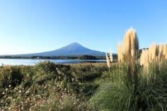 湖畔の秋