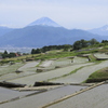 富士山の見える棚田