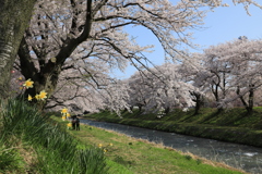 あさひ船川縁