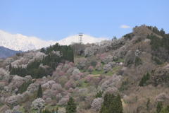 雪山を背に