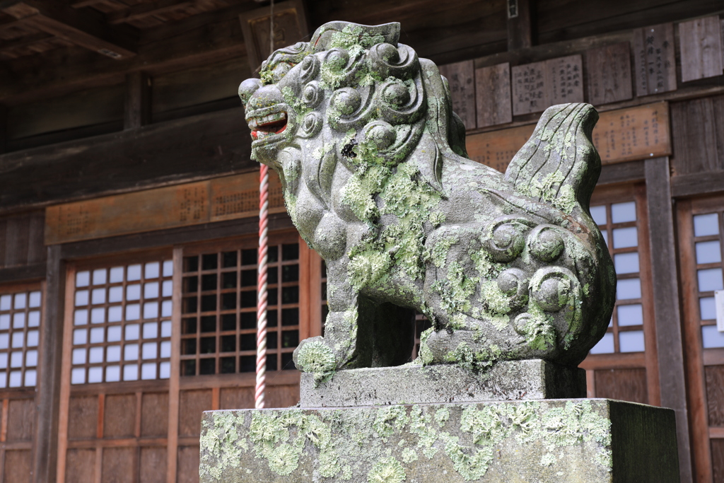 「阿像」獅子