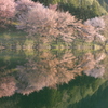 中綱湖・1
