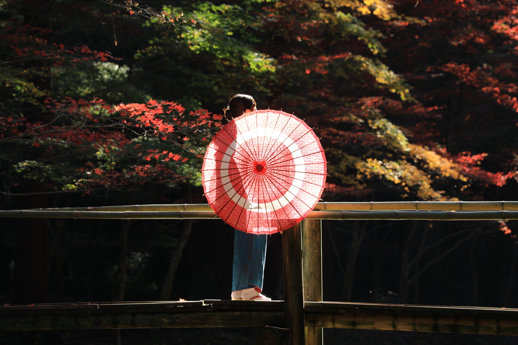 日本の美〃其の二