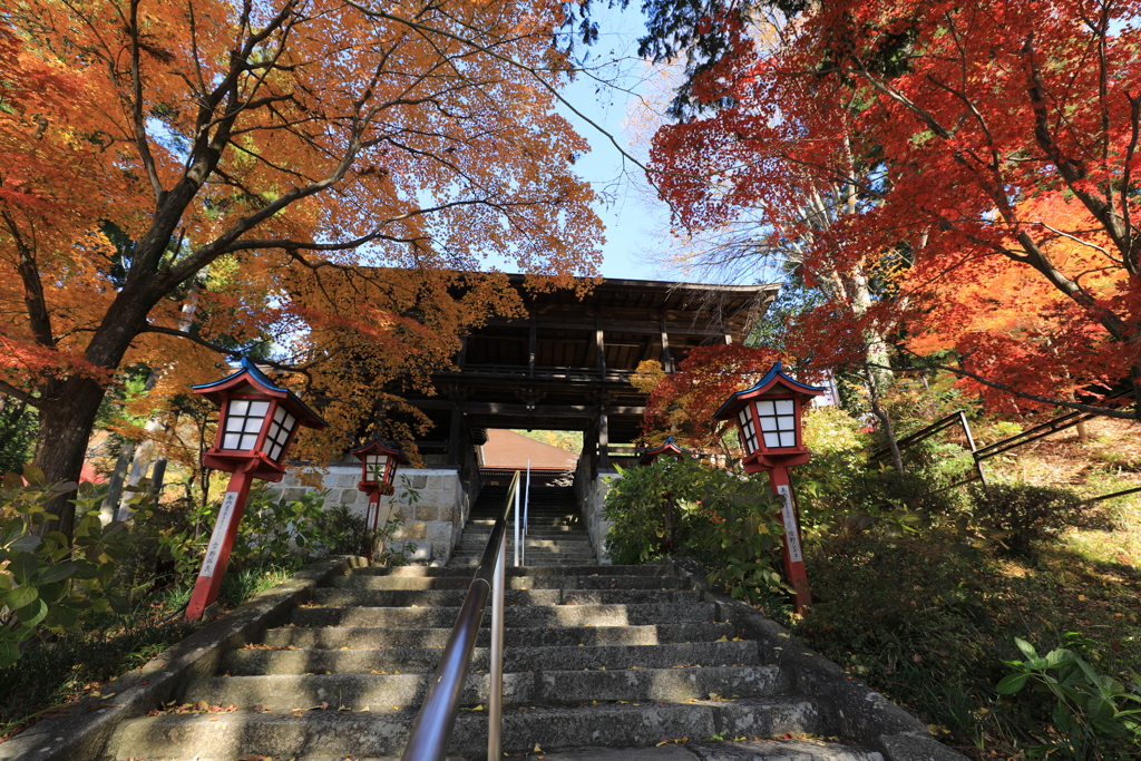 大善寺・参道