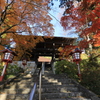 大善寺・参道