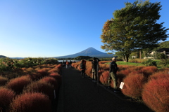 大石公園早朝の賑わい