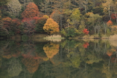 いずみ湖「水鏡」