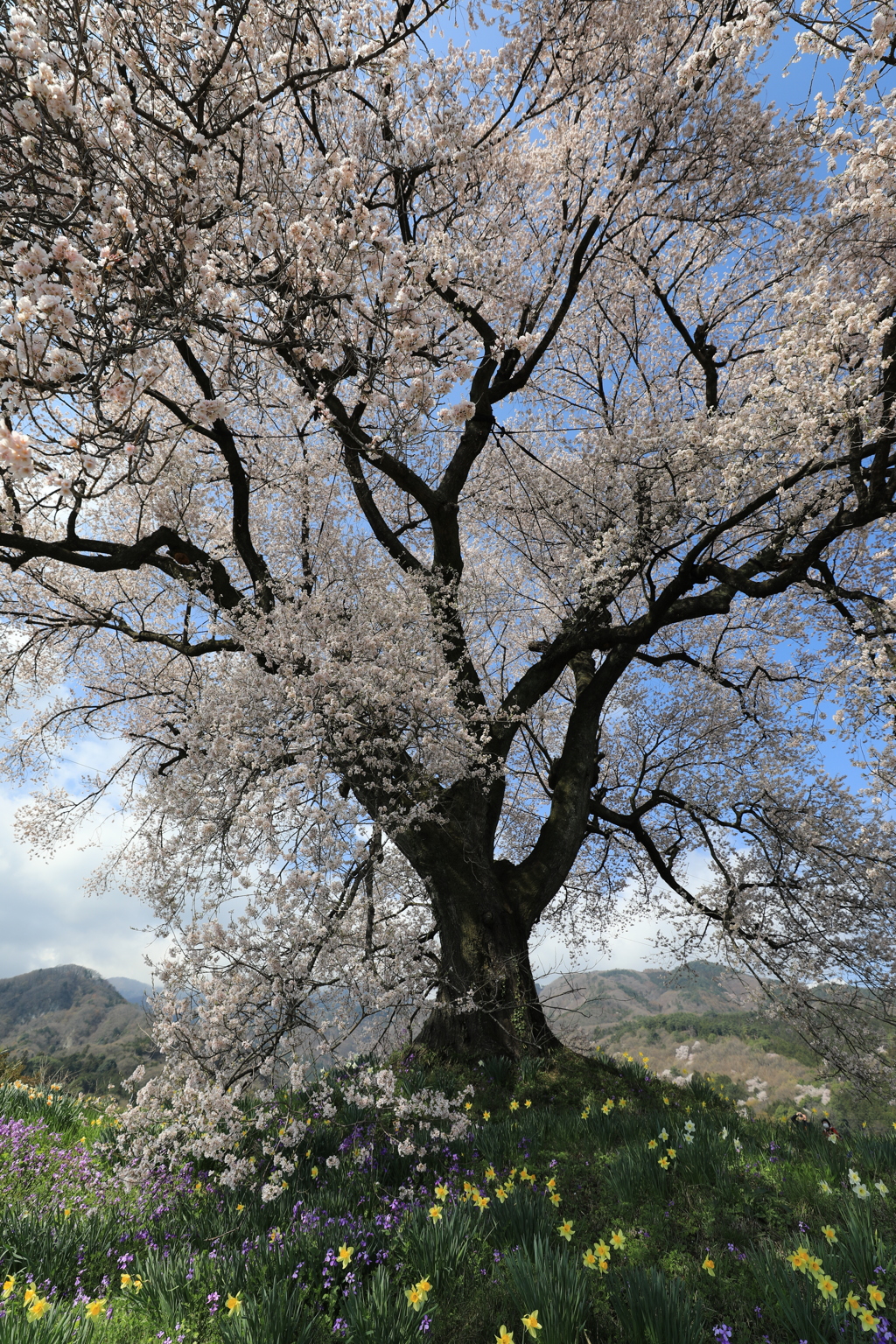 ３００年の時を経て