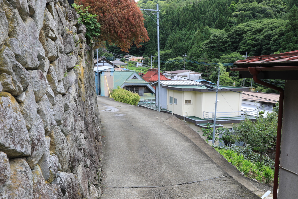 石垣のある山村