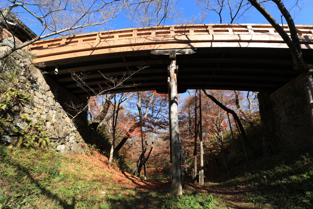 晩秋の陽だまり